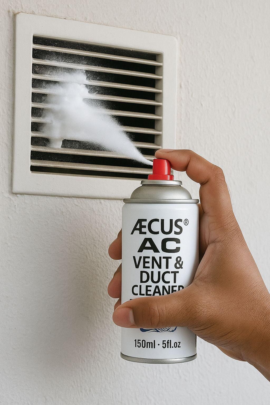 Car Ac Vent & Duct Cleaner (150 ml)